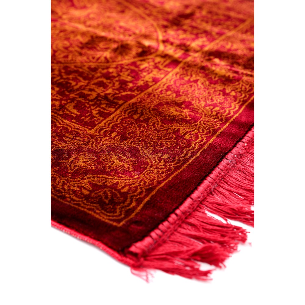 Shop Secondary Image