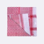 Suggest Product Thumbnail